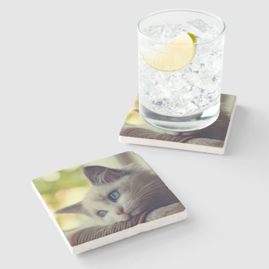 Ragdoll Kitten Stenen Onderzetter (Zijkant)