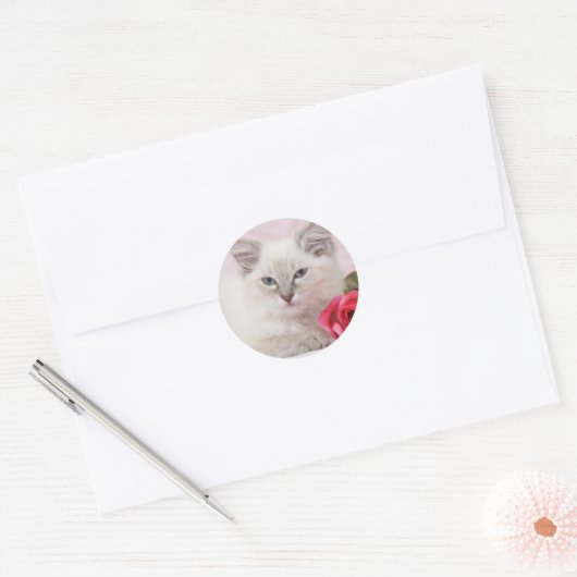 Ragdoll kitten stickers (Envelop)