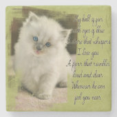 Ragdoll kitten stone onderzetter (Voorkant)