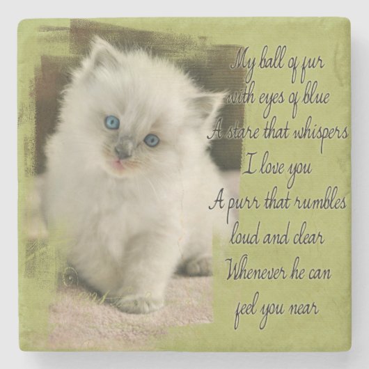 Ragdoll kitten stone onderzetter (Voorkant)