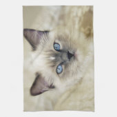 Ragdoll kitten theedoek (Verticaal)