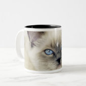 Ragdoll kitten tweekleurige koffiemok (Voorkant links)