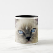 Ragdoll kitten tweekleurige koffiemok (Center)