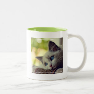 Ragdoll Kitten Tweekleurige Koffiemok