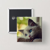 Ragdoll Kitten Vierkante Button 5,1 Cm (Voorkant /achterkant)