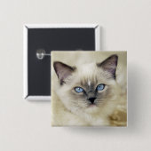 Ragdoll kitten vierkante button 5,1 cm (Voorkant /achterkant)