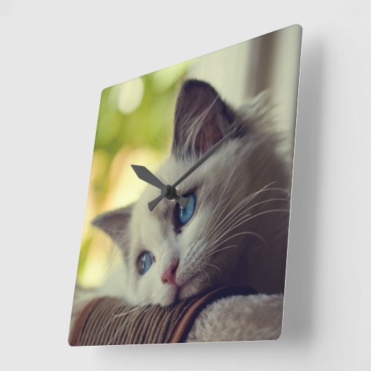 Ragdoll Kitten Vierkante Klok (Hoek)