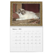 Ragdoll Kittens Agenda Kalender (Feb 2026)