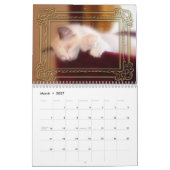 Ragdoll Kittens Agenda Kalender (Mar 2027)