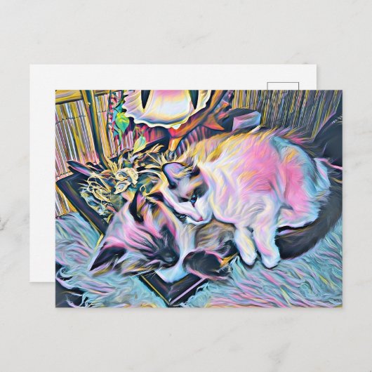 Ragdoll Kittens Briefkaart (Voorkant / Achterkant)