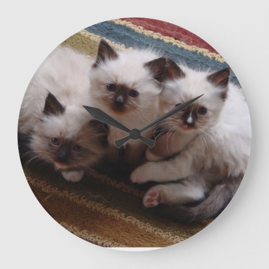 Ragdoll Kittens Clock Grote Klok (Voorkant)