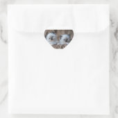 Ragdoll Kittens Hart Sticker (Tas)