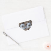 Ragdoll Kittens Hart Sticker (Envelop)
