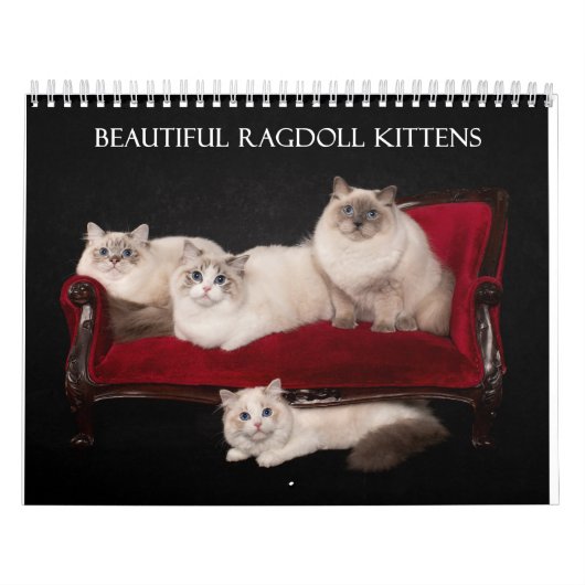 Ragdoll Kittens Kalender (Hoes)