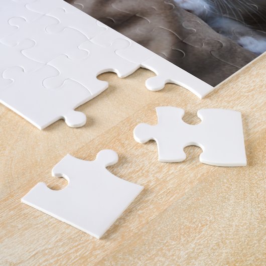 Ragdoll Kittens Legpuzzel (Zijkant)