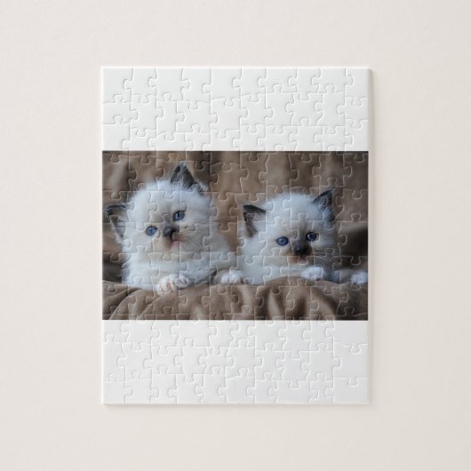 Ragdoll Kittens Legpuzzel (Verticaal)