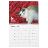 Ragdoll Kittens Vol. Eén kalender (Feb 2026)