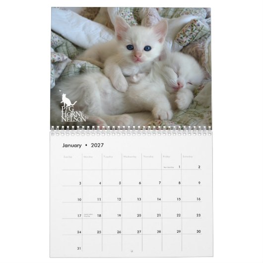 Ragdoll Kittens Vol. Eén kalender (Jan 2027)