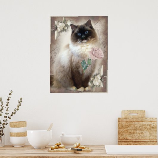 Ragdoll met één roos poster (Keuken)