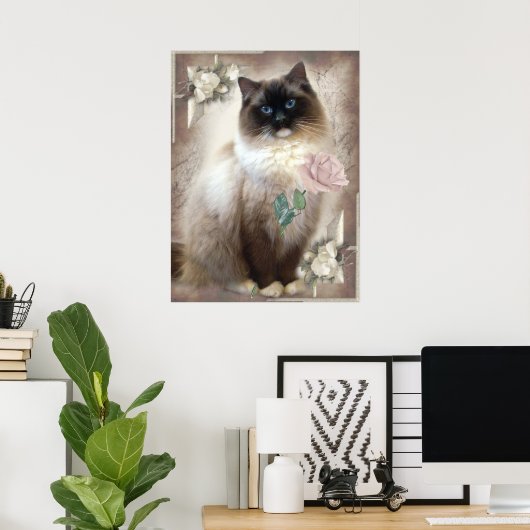 Ragdoll met één roos poster (Thuiskantoor)