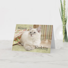 Ragdoll met giftbags verjaardagskaart kaart