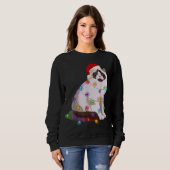 Ragdoll met kerstlampjes met kerstmis trui (Voorkant volledig)