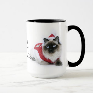 Ragdoll mok met kerstmis