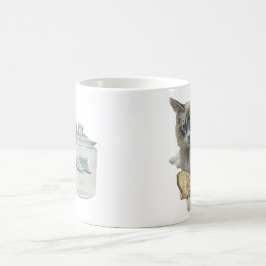 Ragdoll Mokken (Center)