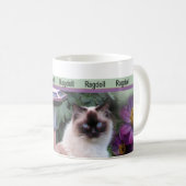 Ragdoll Mokken (Voorkant rechts)