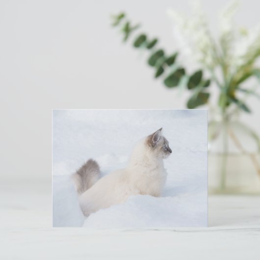 Ragdoll op de sneeuwkaart briefkaart (Staand voorkant)