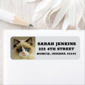 RAGDOLL PERSIAN CAT Big Return Adreslabels Etiket (Insitu)