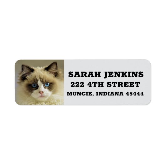 RAGDOLL PERSIAN CAT Big Return Adreslabels Etiket (Voorkant)