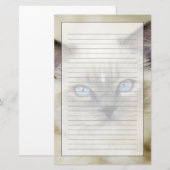 Ragdoll poesje briefpapier (Voorkant / Achterkant)