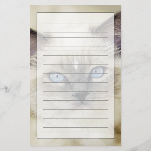 Ragdoll poesje briefpapier (Voorkant)