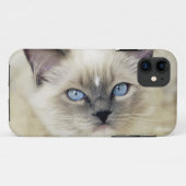 Ragdoll poesje Case-Mate iPhone case (Achterkant (horizontaal))