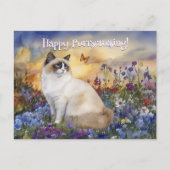 Ragdoll Postcrossing - Briefkaart (Voorkant)