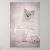 Ragdoll Poster (Voorkant)