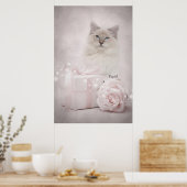 Ragdoll Poster (Keuken)