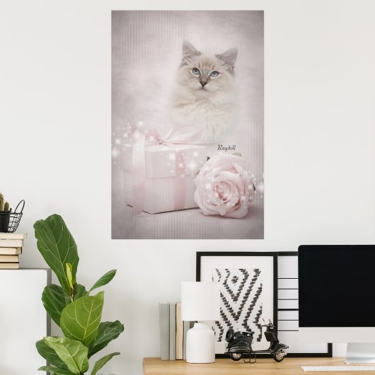 Ragdoll Poster (Thuiskantoor)