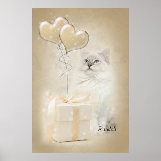 Ragdoll poster (Voorkant)