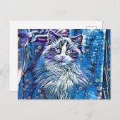 Ragdoll schattige blauwe ogen briefkaart (Voorkant / Achterkant)