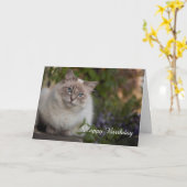 Ragdoll Verjaardag Kaart (Gele Bloem)