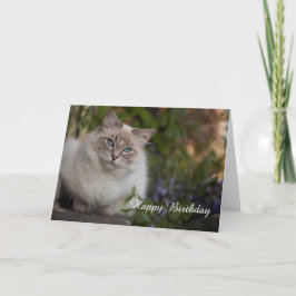 Ragdoll Verjaardag Kaart