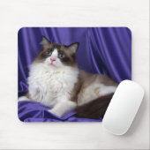Ragdoll, verzegeld in twee kleuren muismat (Met muis)