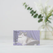 Ragdoll, verzegeld in twee kleuren visitekaartje (Staand voorkant)