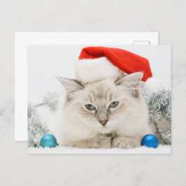 Ragdoll Wearing Santa Hat Briefkaart