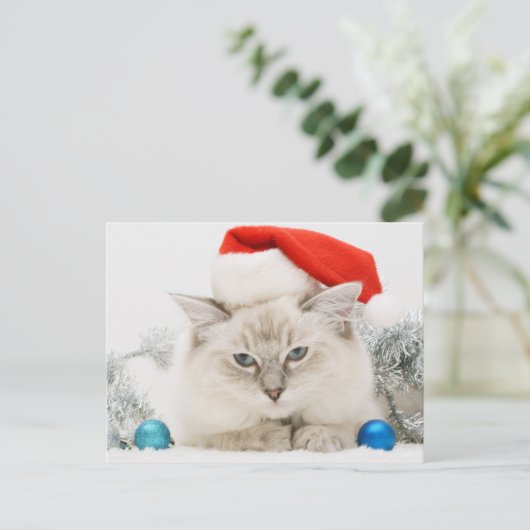 Ragdoll Wearing Santa Hat Briefkaart (Staand voorkant)