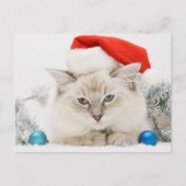 Ragdoll Wearing Santa Hat Briefkaart (Voorkant)
