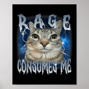 Rage Consumes Me Cat  Funny Meme Poster