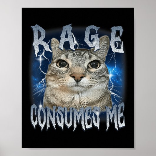 Rage Consumes Me Cat Funny Meme Poster (Voorkant)